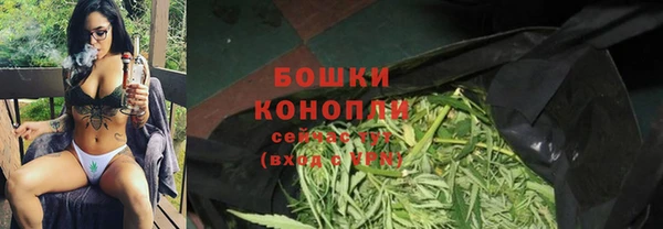 сатива Майский