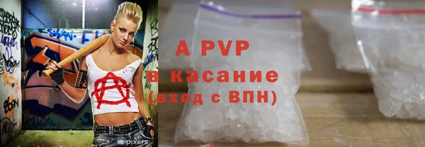 индика Магас