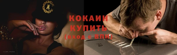 индика Магас