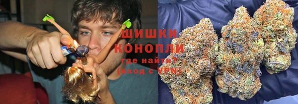 сатива Майский